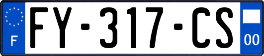 FY-317-CS