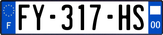 FY-317-HS