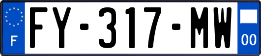 FY-317-MW