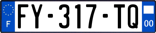 FY-317-TQ