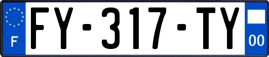 FY-317-TY