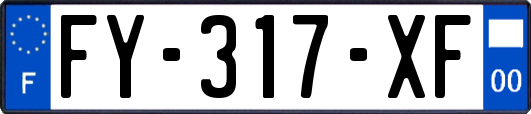 FY-317-XF