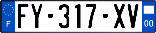 FY-317-XV