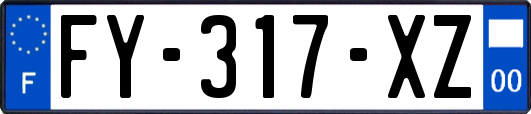 FY-317-XZ