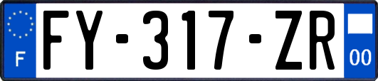 FY-317-ZR