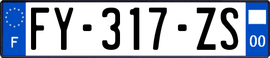 FY-317-ZS
