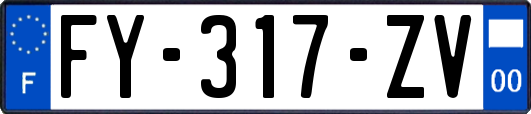 FY-317-ZV