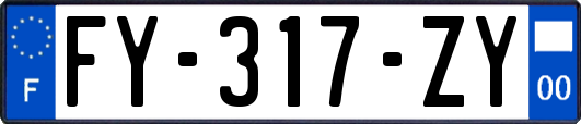 FY-317-ZY