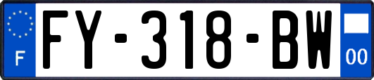 FY-318-BW