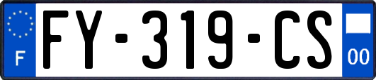 FY-319-CS