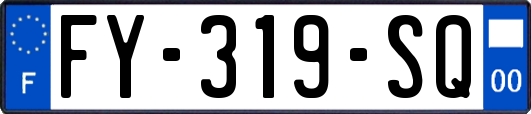 FY-319-SQ