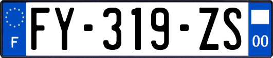 FY-319-ZS