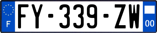 FY-339-ZW