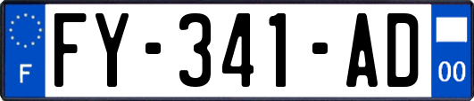 FY-341-AD