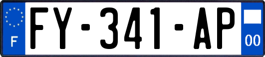 FY-341-AP