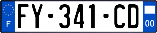 FY-341-CD