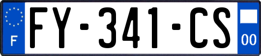 FY-341-CS