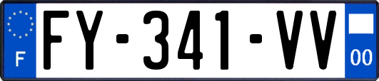 FY-341-VV