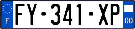 FY-341-XP