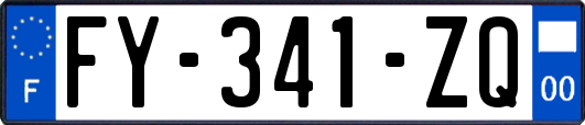 FY-341-ZQ