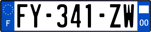 FY-341-ZW