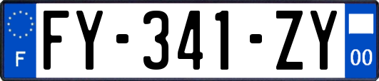 FY-341-ZY
