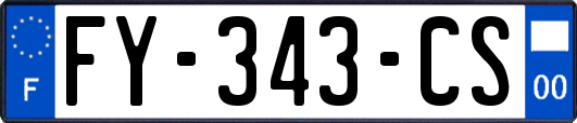 FY-343-CS