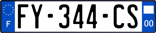 FY-344-CS