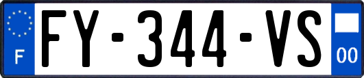 FY-344-VS