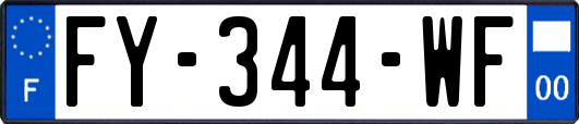 FY-344-WF