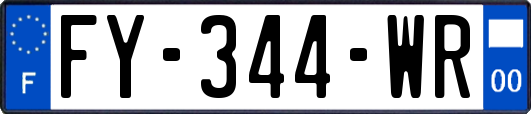 FY-344-WR