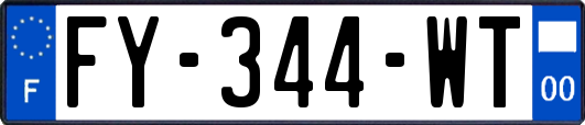 FY-344-WT