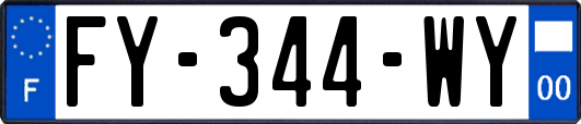 FY-344-WY