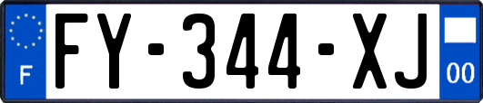 FY-344-XJ