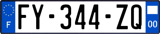 FY-344-ZQ