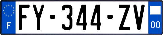 FY-344-ZV