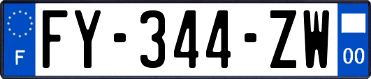 FY-344-ZW