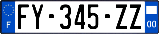 FY-345-ZZ