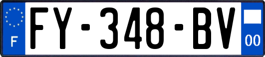 FY-348-BV