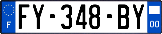 FY-348-BY