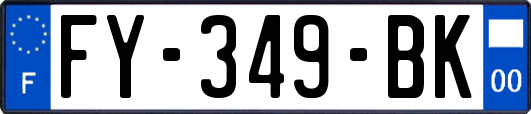 FY-349-BK