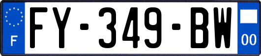 FY-349-BW