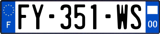 FY-351-WS
