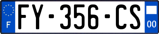 FY-356-CS
