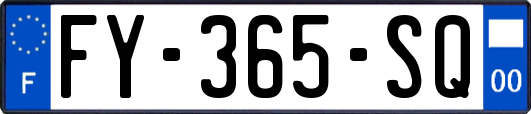 FY-365-SQ