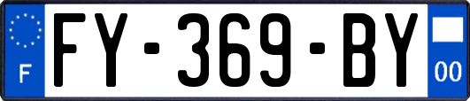 FY-369-BY