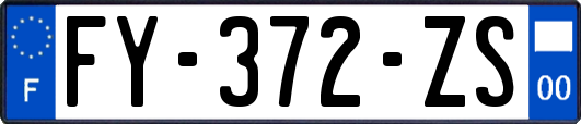 FY-372-ZS