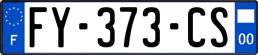 FY-373-CS
