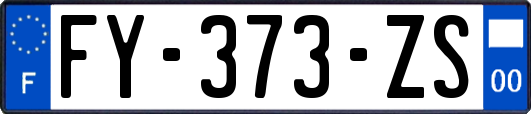 FY-373-ZS