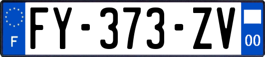 FY-373-ZV